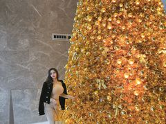 -重庆解放碑威斯汀酒店