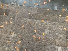 -FEELINGME乐刻私教馆·健身(朗悦居店)