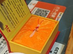 雅鱼神剑-干老四雅鱼饭店(滨江西路店)