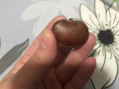 -黑孩油栗皇(南阳路店)