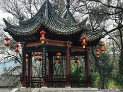 -武侯墓风景区