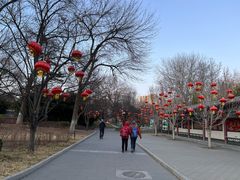 -丰台花园