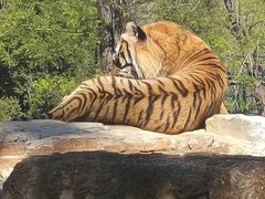 -秦皇岛野生动物园