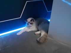 -零纪元VR体验馆·桌游(黄浦店)