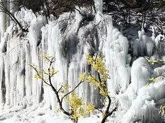 -少华山国家森林公园