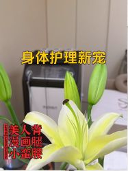 -Fundi张玉珊修身堂·indiba·BTL科技瘦身