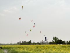 -汉长安城未央宫国家考古遗址公园