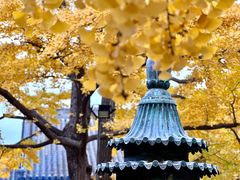 -红螺寺
