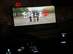 -枫花园汽车电影院(朝阳公园店)