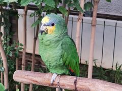 -南宫五洲植物乐园