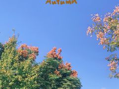 -南北湖风景区