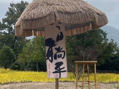 -塔川景区
