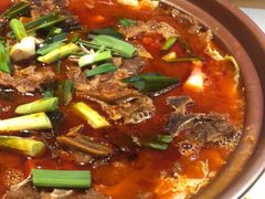 -杨氏青龙虾·羊蝎子(金盛路总店)