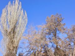 -张掖大佛寺景区
