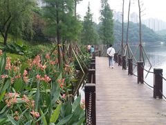 -重庆彩云湖湿地公园