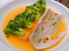 -大树餐厅(红旗街万达店)