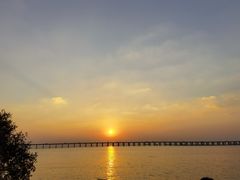 -宝安西湾红树林湿地公园