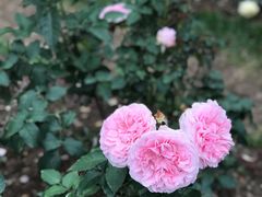 -人民公园(罗湖区)