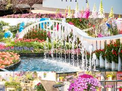 -海心沙亚运公园