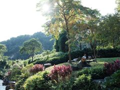 -火炉山森林公园