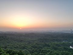 -南京老山国家森林公园