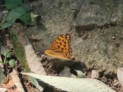 -天津盘山风景名胜区