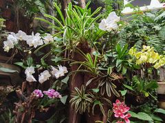 -正佳雨林生态植物园
