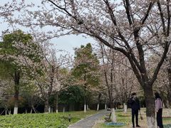 -堤角公园