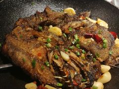 -开海·红岛海鲜虾水饺(石老人店)