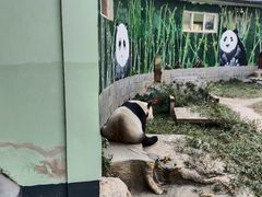 -南昌动物园