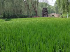 -北坞公园
