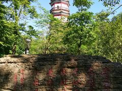 -分塔山省级森林公园