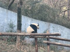 -红山森林动物园
