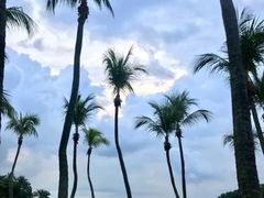 -巴拉湾海滩
