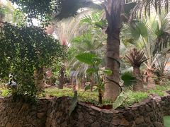 -呀路古热带植物园