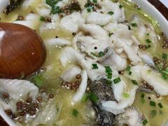 -紫光园·烤鸭·北京菜(劲松店)