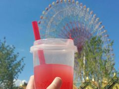 -七彩云南欢乐世界