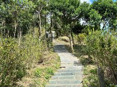 -梧桐山风景名胜区