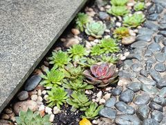 -阿鹏故事云南野生菌火锅(人民路店)