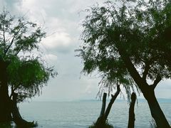 -捞渔河湿地公园
