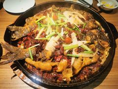 -老板恋上鱼(印象城店)