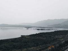 -木洞河街
