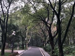 -东湖落雁景区