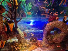 -沈阳海洋探索中心