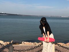 -宝安西湾红树林湿地公园