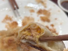 -东门饺子馆(少年宫路店)