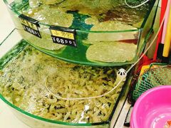 -烁佳海鲜大馅饺子
