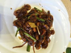 -南湖船菜大酒店
