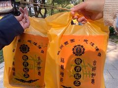 -西园戒幢律寺
