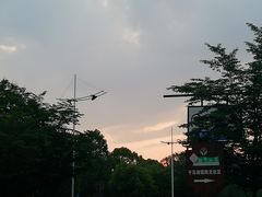 -全乐鱼馆·淳牌有机鱼直营店